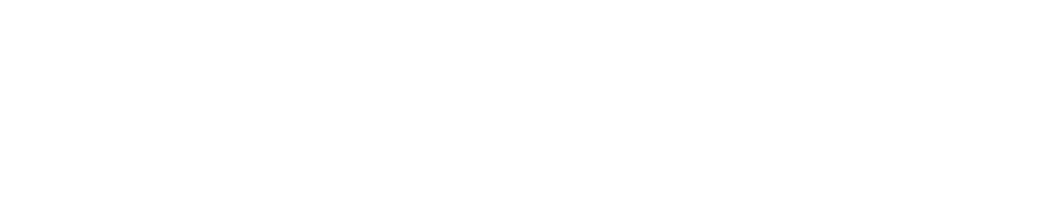 夜景とイルミネーションが彩る調教と江戸の魅力発見プレミアムナイト