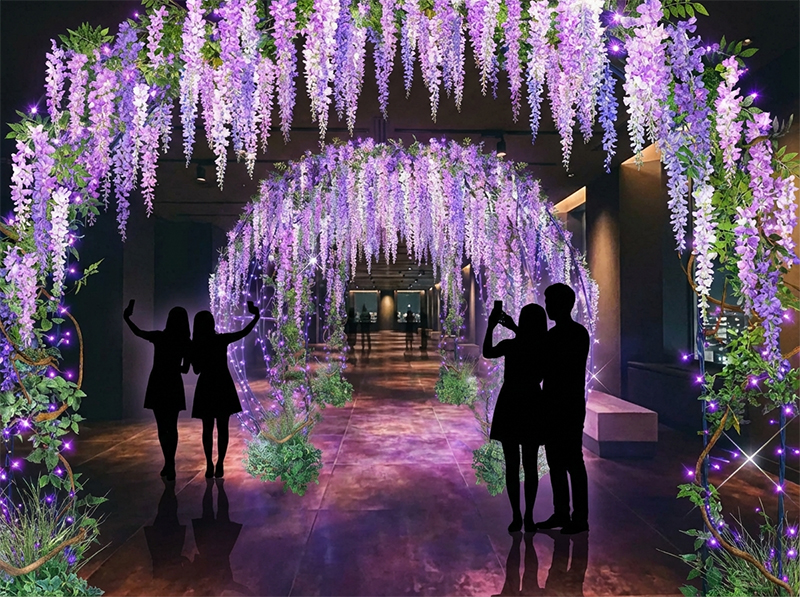 藤棚 エコイルミネーションのイメージ画像